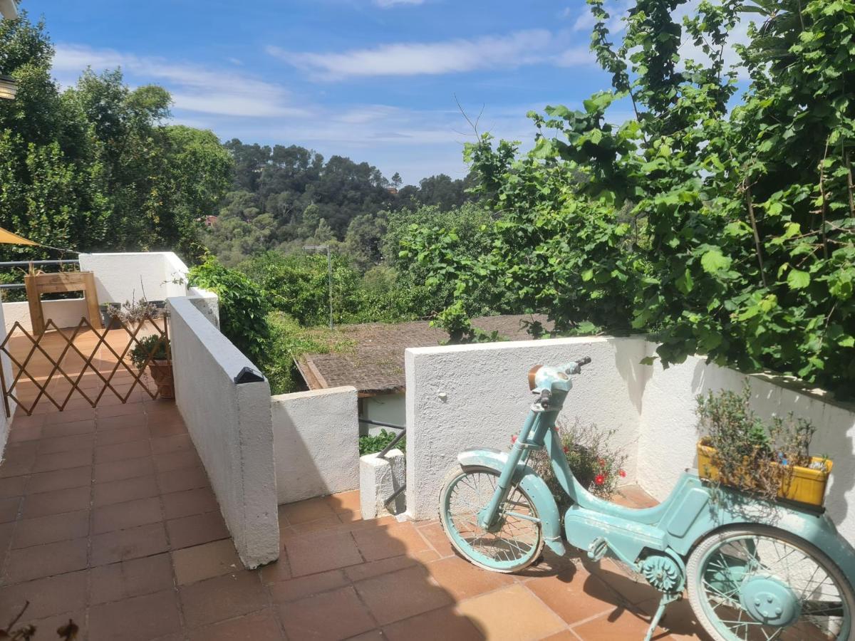 Nature Oasis Near Barcelona With Swimming Pool Parties Not Allowed Sant Cugat del Vallès Buitenkant foto